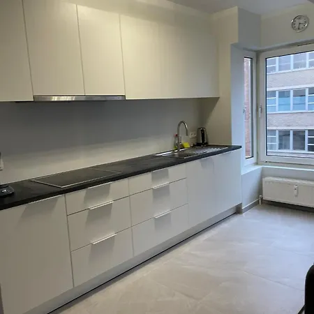 Apartment Comfortable 2-bedroom In The Centre Of T93