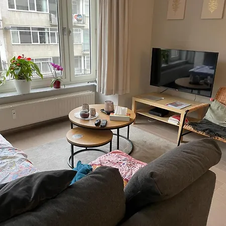 Comfortable 2-bedroom In The Centre Of T93 Lägenhet Oostende