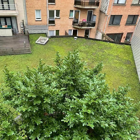 Apartament Comfortable 2-bedroom In The Centre Of T93 *